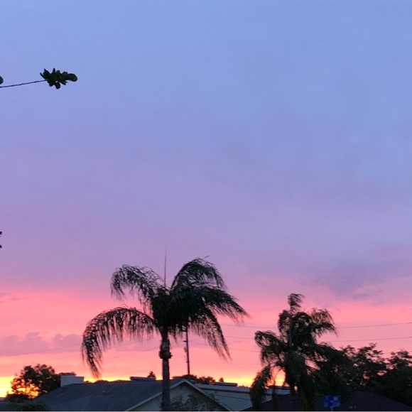 Meet your Posher, Melody - Picture 4 of 5